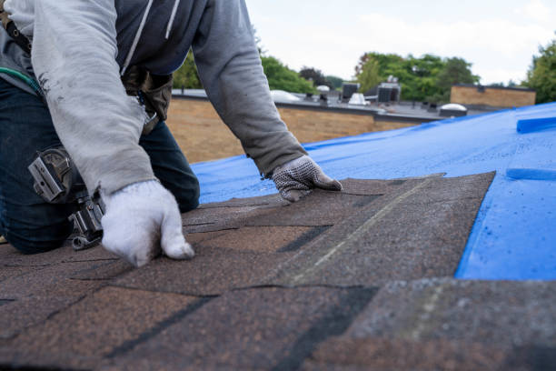 Best Storm Damage Roof Repair  in West Pelzer, SC